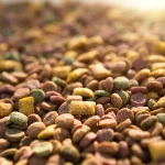 pet food