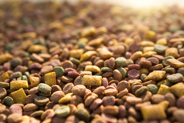 pet food